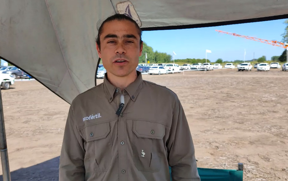 Como salir de un carry over en soja con bioinsumos